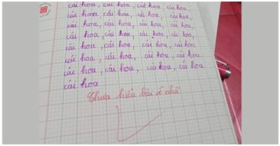 Cô giáo cho bài về nhà ‘viết 29 chữ cái hoa’, và đây là bài tập học sinh lớp 2 nộp