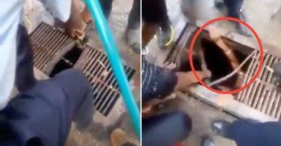 Video: Cắt song sắt, cứu cậu bé bị nước cuốn vào đường cống trong lúc tắm sông