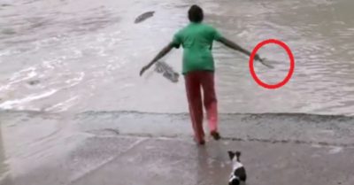 Clip: Nữ ‘cao thủ’ cầm dép xỏ ngón đuổi cá sấu