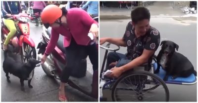 Video trả ơn chủ nuôi nấng từ lúc bé, chú chó ngậm vé số đi bán khắp ngõ ngách Phú Quốc