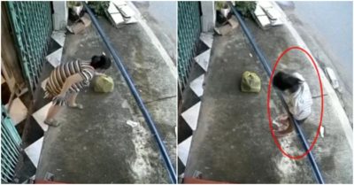 Clip người mẹ đi xin mì gói cho con giữa mùa dịch: Chủ nhà rưng rưng “họ không có miếng ăn nhưng rất đàng hoàng”