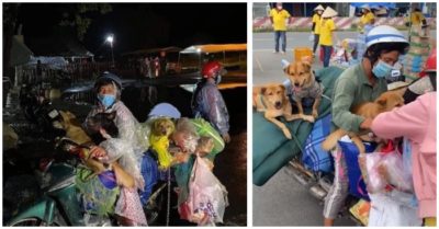 Trưởng trạm y tế và con trai xin nghỉ việc sau vụ tiêu hủy 15 con chó vì không chịu nổi áp lực dư luận