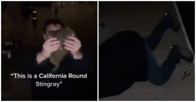 Clip: Cầm cá đuối chụp ảnh, người đàn ông bất ngờ đổ gục