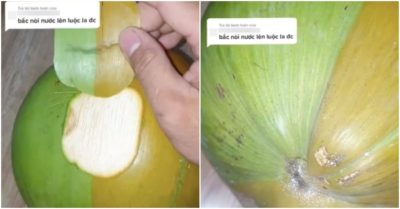 Đăng video quả dừa độc lạ, cô gái lý giải nguồn gốc bạn có tin?