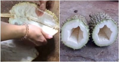 Cô gái mừng hụt vì mua quả sầu riêng “100% không hạt” đúng như quảng cáo