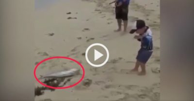 Video: Cậu bé phấn khích khi câu được cá to