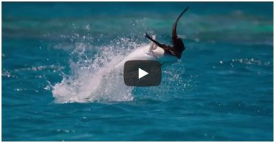 Video: Chiêm ngưỡng cận cảnh tuyệt kỹ săn mồi của loài cá thích ăn… thịt chim