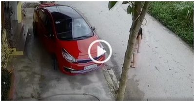 Video: Nữ tài xế mất 8 phút lùi xe từ vỉa hè xuống đường