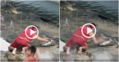 Video: Đồng nghiệp trượt chân khi nam thanh niên đang cho tay vào miệng cá sấu