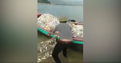 Clip: Ngư dân sung sướng khi trúng đậm mẻ cá