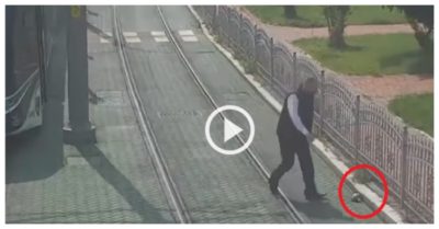 Video: Tài xế dừng tàu giữa đường để giải  cứu rùa