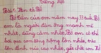 Bài văn miêu tả về bố chân thật của học sinh