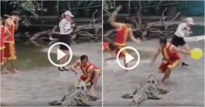 Video: Nam thanh niên ‘thót tim’ khi biểu diễn cùng cá sấu
