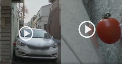 Video: ‘Cao thủ’ không cần nhìn gương, đỗ xe bằng đường kính quả cà chua nhỏ