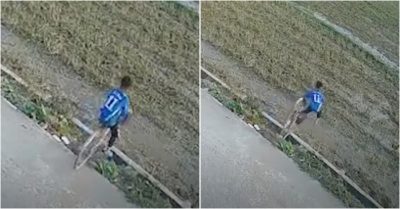 Video: Bé trai đi xe đạp lao thẳng xuống ruộng