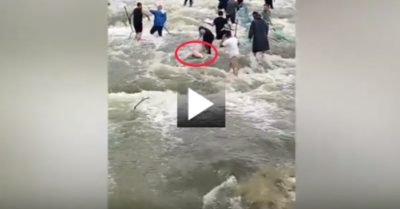 Video: Hàng trăm người dân lao xuống sông chờ hồ xả lũ bắt cá ‘khủng’