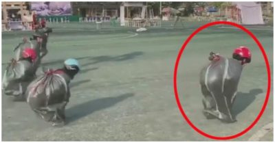 Video: Cậu bé khom lưng chống gối để chạy khi thi nhảy bao bố