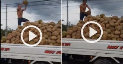 Video: Chàng trai tay không bắt sầu riêng được ném từ dưới lên