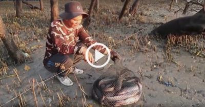 Video: Người đàn ông thu hoạch cá khủng nhờ giăng câu trên cạn