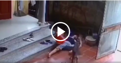 Video: Chó cưng chạy đi tìm người giúp khi thấy chủ ngã ra đất sau khi hút thuốc lào