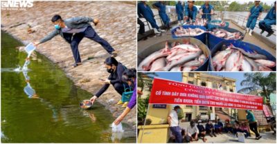 Cập nhật tối 24/1: Cá chép đưa ông Táo về trời vừa xuống nước đã chết; Tôm cá đi Trung Quốc gặp hạn