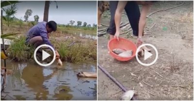 Clip: Câu cá bằng chân gà ở miền Tây