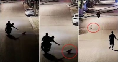 Video: Con chó nhỏ 3 lần trốn thoát khỏi hai thanh niên muốn nhử bắt mình