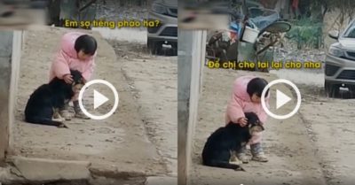 Video đáng yêu: Bé gái bịt tai chó cưng vì sợ tiếng pháo