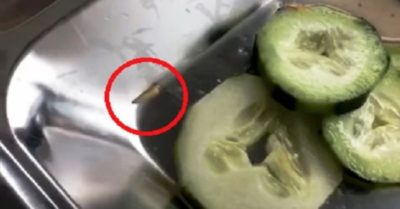 Quảng Nam: Đĩa cơm trưa của công nhân lúc nhúc giòi, công ty nói gì?