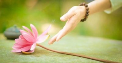 Học cách sống của cổ nhân: 8 đạo lý để cuộc đời bình an