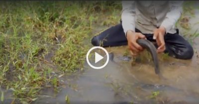 Video: Nam thanh niên mỏi tay bắt cá sau mưa lớn