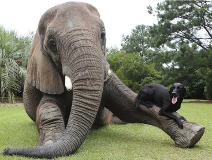  ‘Đấu tranh sinh tồn’ không phải là quy luật tự nhiên!