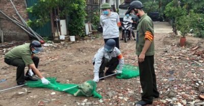 Lập gần 600 đội bắt chó thả rông tại Hà Nội