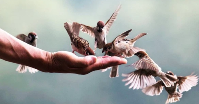 Lương thiện là con đường ngắn nhất để thay đổi vận mệnh của đời người