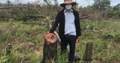 Đắk Lắk: Gần 100ha rừng bị triệt hạ, lãnh đạo nói do Covid-19