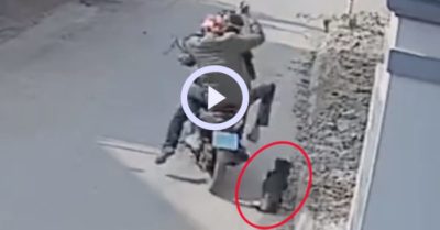 Video: Đi trộm chó bị chó rượt