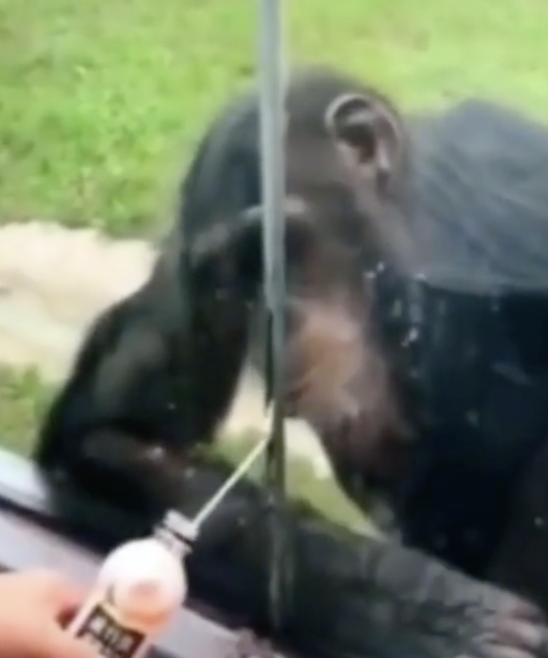 ghé sát ống hút