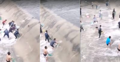 Video: Dân làng hứng vợt bắt cá rơi từ đập thủy điện xuống