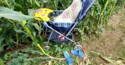 Mẹ dắt 2 con ra sông, lát sau trên bờ chỉ còn chiếc xe đẩy