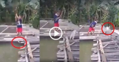 Video ‘cần thủ không bằng tranh thủ’: Cậu bé kêu gào vì bị mèo cướp cá