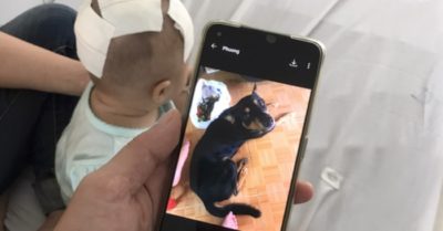 Ba trẻ bị chó cắn, một bé 4 tuổi tử vong