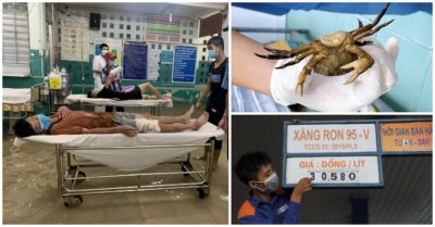 Cập nhật tối 3/6: Mưa ngập, bác sĩ bắt cua trong phòng cấp cứu; Nếu bỏ thuế – phí, xăng còn 20.000 đồng/lít