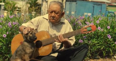 “Ông già mù và con chó” – Câu chuyện buồn khiến bao người rơi lệ