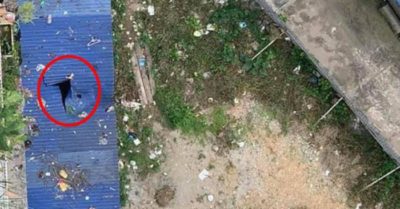 Trèo từ tầng 11 xuống tầng 10, cán bộ công an TP Thái Nguyên rơi xuống đất