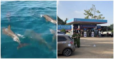 Cập nhật tối 19/6: Nhiều cá heo xuất hiện ở biển Khánh Hoà; Đường dây làm giả hàng triệu lít xăng ở Bà Rịa – Vũng Tàu