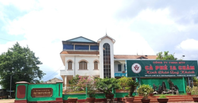 Bắt tạm giam giám đốc Công ty cà phê Ia Châm vì gây thiệt hại gần 1 tỷ đồng